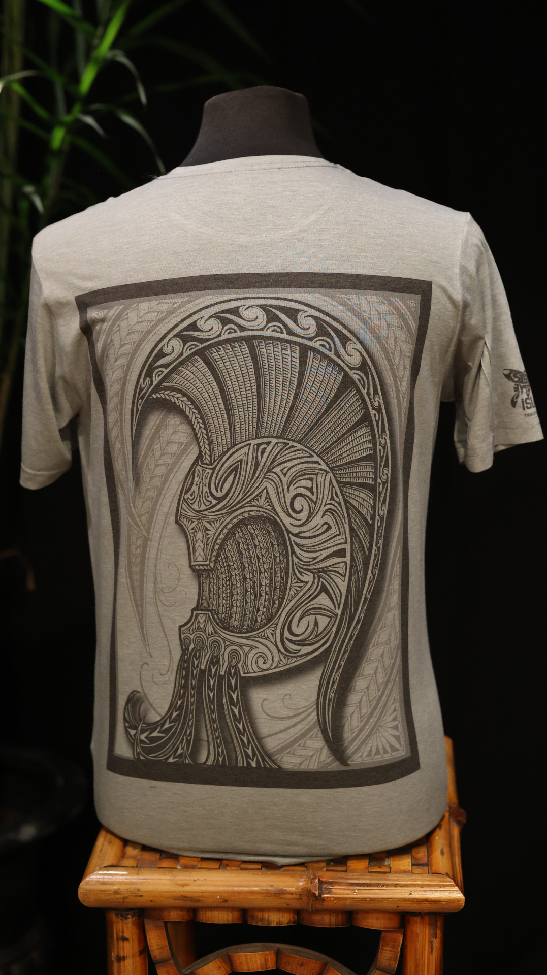Heather Gray shirt with a large Spartan helmet back print.